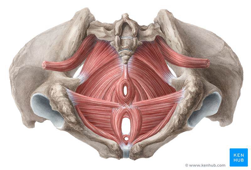 Bladder Training Program/Continence Improvement Program ...